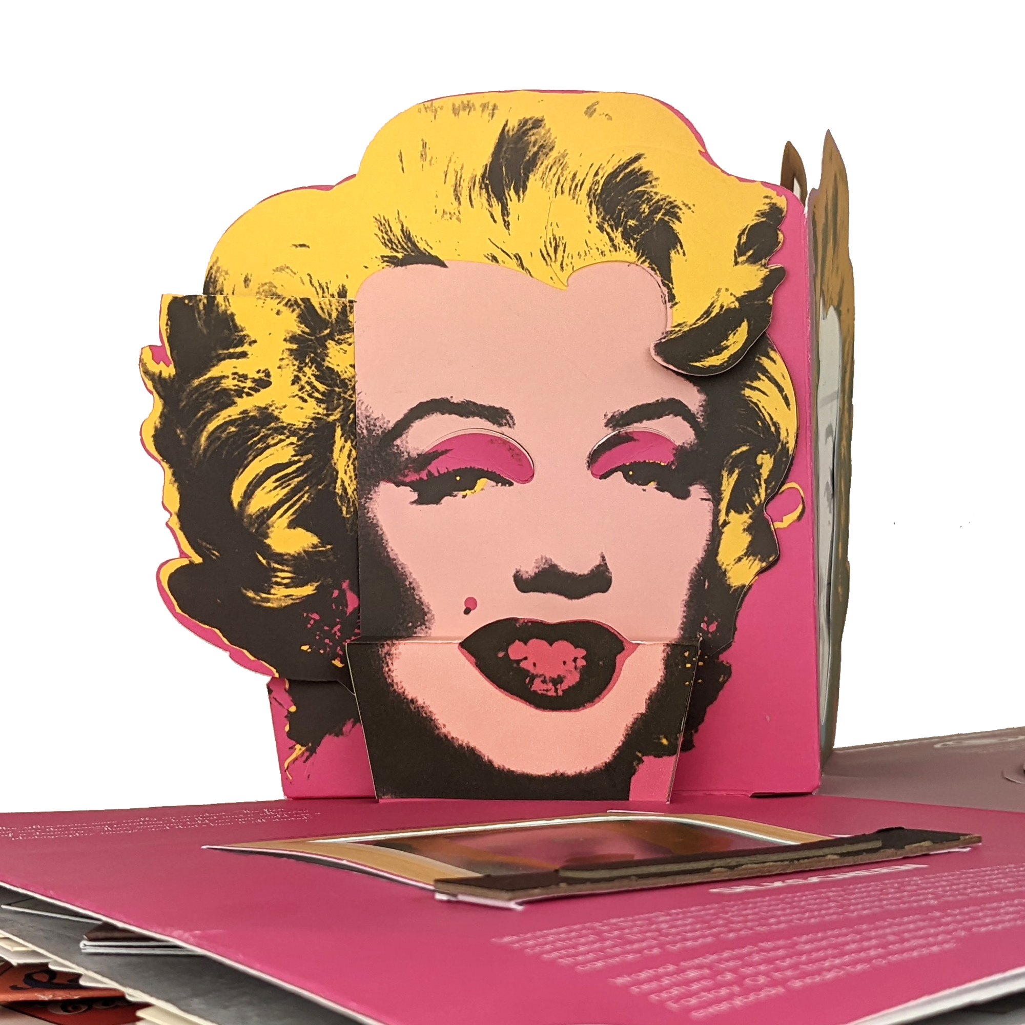 Andy Warhol Marilyn Monroe Pop Art   Marilyn Left 